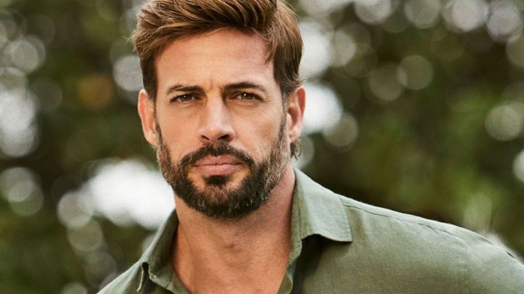William Levy deberá asistir a un programa de manejo de ira tras incidente&nbsp;legal